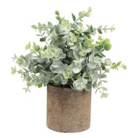 Bothyi - Planta Suculenta Artificial Falsa En Maceta Mini Plantas En Maceta Decoración De Jardín Para El Hogar Eucalipto