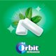thumbnail image 3 of Chicle Sin Azúcar Sabor Hierbabuena, 10 Un, 3 of 6
