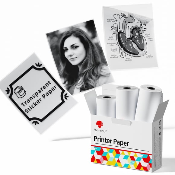 Papel adhesivo térmico Phomemo transparente de 53 mm x 3,5 m, 3 rollos