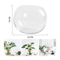 Xianzhu - Pecera Esférica De Vidrio 16 X 22Cm