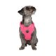 thumbnail image 3 of Arnés para Perro Vibrant Life Ajustable Malla Rosa Talle S, 3 of 3
