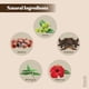 thumbnail image 3 of Combo Polvo Herbal Capilar Shudh Online Amla Reetha Shikakai 5x100g, 3 of 3