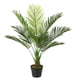 thumbnail image 2 of Palmera de 80 cm, 2 of 2