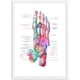 thumbnail image 4 of Cuadro de anatomía de los huesos del pie, lienzo para pared, póster impreso para decoración médica, clínica, educación, 40 x 60 cm, sin marco, 4 of 7