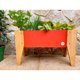 thumbnail image 4 of Jardinera Huerto 60 x 30 x 32 Terracota, 4 of 5
