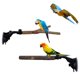 thumbnail image 1 of Percha para pájaros de madera natural con ventosa 25 cm – Pack de 2, 1 of 7