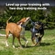 thumbnail image 2 of Collar para perros Add-A-Dog PetSafe Core Remote Trainer, impermeable, 2 of 8