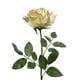 thumbnail image 2 of Rosa Blush 85cm Realista, 2 of 3