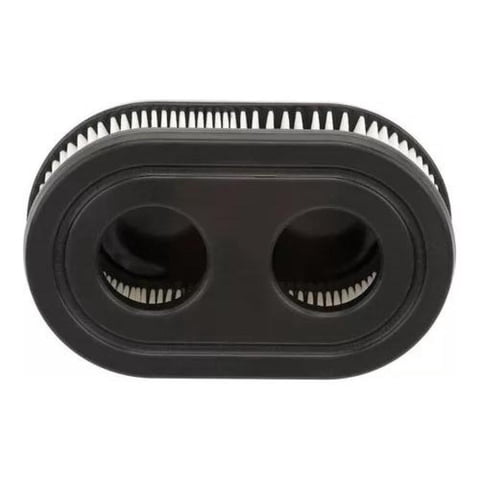 Genérica - Filtro De Aire Motor Briggs & Stratton 550E 550Ex
