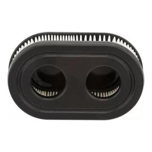 Filtro De Aire Motor Briggs & Stratton 550e 550ex