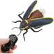 thumbnail image 1 of Bicho luciérnaga rc insecto 1:72, 1 of 3