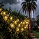 thumbnail image 2 of Luces de Cadena LUCKY SHINE 150 LED Blanco Cálido 15,2 m 120V, 2 of 9