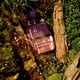 thumbnail image 5 of Perfume Boy Smells Woodphoria, 50 ml, unisex, 5 of 5