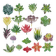 thumbnail image 1 of Plantas suculentas artificiales 20 uds mini, 1 of 3