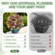 thumbnail image 5 of Planta Artificial Alupssuc Bola de Topiario con Flores 51 cm 2 piezas, 5 of 9