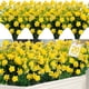 thumbnail image 1 of 20 paquetes de flores artificiales TURNMEON para decoración de exteriores, 1 of 7