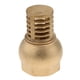 thumbnail image 5 of Válvula De Pie De Alta Resistencia Pie De Latón Hembra Bomba De Agua Roscada Válvula Inferior DN50, 5 of 5