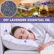 thumbnail image 4 of Flores secas de lavanda Jitejoe, fragantes naturales, a granel, 454 g, 4 of 9