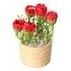 thumbnail image 1 of Mini Casa De Muñecas Flor Rosa Paisaje Estático Modelo 1/6 Decoraciones DIY Para Casa De Muñecas Rojo, 1 of 5