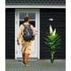thumbnail image 3 of Planta Decorativa Artificial Belleza Natural Frescura Jhn, 3 of 3