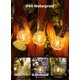 thumbnail image 3 of Luces de cadena Brightown 15 m, 25 bombillas G40, impermeables IP65, 3 of 9