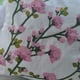 thumbnail image 2 of Funda Blanca Bordada Rosas Rosas 45x42, 2 of 3