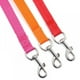 thumbnail image 5 of Suministros para mascotas, correa para pasear perros, cadena para perros Correa para mascotas - naranja - 12 m (40 pies) * 2 cm, 5 of 8