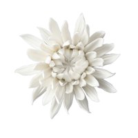 Bothyi - Flores De Cerámica Para Colgar En La Pared 3D, Artesanía, Decoración Colgante Artificial, Margarita, 8,5 Cm