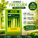 thumbnail image 3 of Semillas de Apio Verdura Brisol para Huerta, 3 of 5