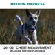 thumbnail image 2 of Arnés Reflectante Ajustable Embark Pets para Perro, 2 of 8