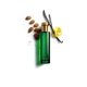 thumbnail image 2 of Perfume Hermetica Vaninight Eau De Parfum 100 ml para mujer, 2 of 3