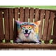 thumbnail image 4 of Almohada Decorativa Great Pyrenees, 4 of 6