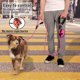thumbnail image 3 of Correa para perro Plutus Pet de 6 ft con dos asas, 3 of 3