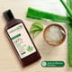 thumbnail image 2 of Pack 6 Shampoo Naturaloe Aceite de Cañamo 350ml, 2 of 3