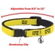 thumbnail image 3 of Collar para gato Buckle-Down con cierre de seguridad, 20-30 cm, ancho 1,3 cm, 3 of 4