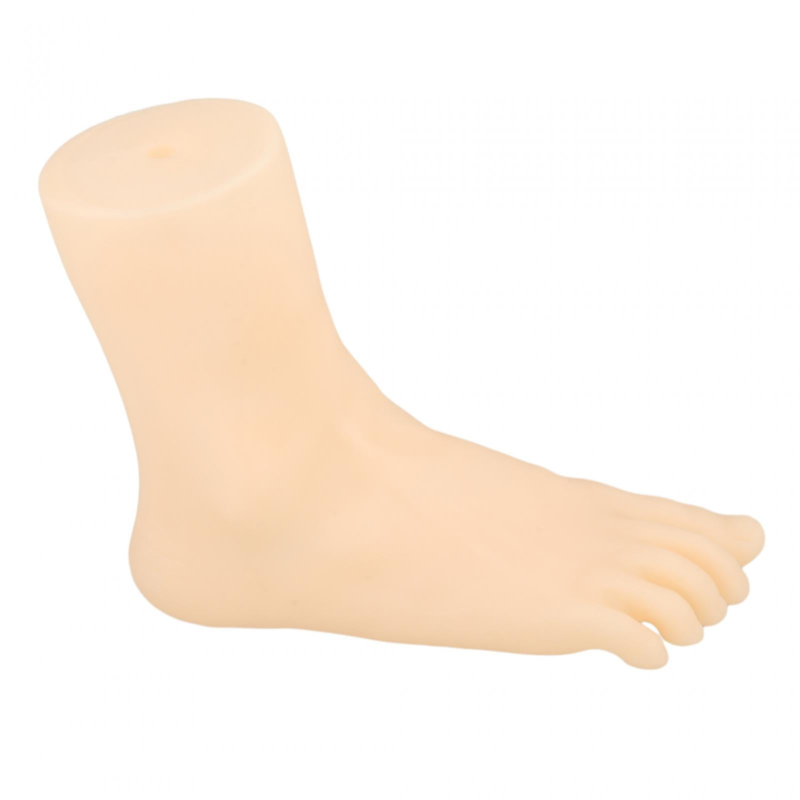 Magideal - Maniquí De Mujer Para Exhibir Pies, Modelo De Pie, Sandalias Duraderas, Zapatos, Calcetines, Simulación De Exhibición Para Tienda, Medias Cortas, Cade Estilo Derecho B