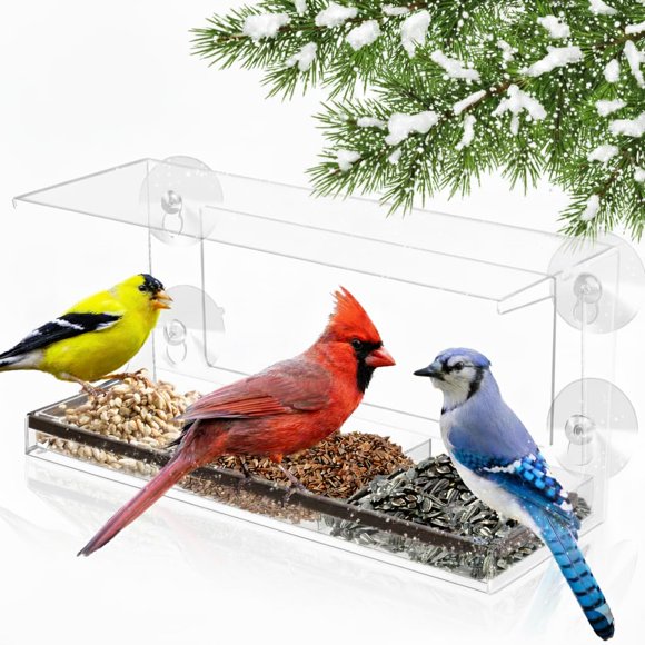 Comedero para Pájaros Nature's Hangout con Ventosa para Ventana