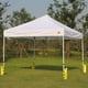 thumbnail image 5 of Canopy Weights ABCCANOPY - Juego de bolsas de arena (4 a 54,43 kg), color amarillo, 5 of 5