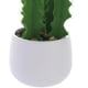 thumbnail image 2 of Planta Decor Cactus Suculento 25 Cms Maceta Blanca, 2 of 4
