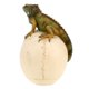 thumbnail image 4 of Iguana de resina con calavera de Treasure Cove para decoración de Halloween, 4 of 4