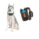 thumbnail image 2 of Collar de Entrenamiento para Perros 300mt 8 Niveles Naranja, 2 of 5