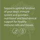 thumbnail image 5 of Suplemento Standard Process Canine Immune System 30 g, 5 of 7