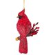 thumbnail image 1 of Adorno romano navideño con forma de cardenal rojo brillante, resina, 10 x 8 cm, 1 of 7