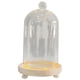 thumbnail image 3 of Campana De Cristal Cúpula Flores Eternas Cúpulas De Cristal Vitrina Cúpula Transparente Bola De Campana, 3 of 5