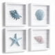 thumbnail image 1 of Decoración de pared Tide and Tales Set 3D de caracoles marinos y estrellas de mar, 1 of 9
