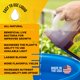 thumbnail image 3 of Suplemento para plantas Microbe Life Hydroponics Photosynthesis Plus, 3 of 7