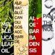 thumbnail image 4 of Gel Limpiador Facial Mineaderm con Aceite de Árbol de Té 400 ml para Piel Grasa, 4 of 6