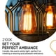 thumbnail image 5 of Bombillas Hudson Bulb Co. Edison incandescente vintage de 60 W, 5 of 9