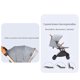 thumbnail image 5 of Coche De Paseo Aluminio Con Accesorios LuBabycas Gris, 5 of 8