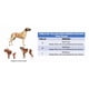 thumbnail image 3 of Pañales Desechables Para Mascota Perros Machos Talla S, M, L blanco M: Circunferencia máxima de cintura 55cm, 3 of 10